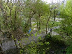 ������� �������� �������, 27�, ���, ����������� ���� 18