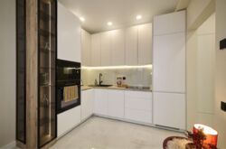 ������� �������� �����������, 24, ���, ����������� ���� 5