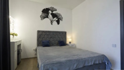 ������� �������� ³�������, 2, ��� ���� 19