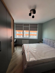 ������� �������� ����� ���������, 8, ���, ���������� ���� 6