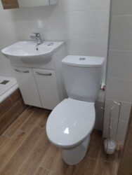   , , 쳿, 51, .   3