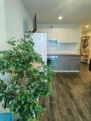 ������� �������� �������� �������, 1�, ���, ������������� ���� 1