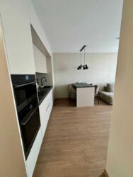 Здається квартира Олени Теліги, 25, Київ, Шевченківський фото 4 Здається квартира Олени Теліги, 25, Київ, Шевченківський фото 4