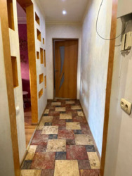 ������� �������� ���. ������ ����, 5, ���, �����������, �. ���������� ���� 5