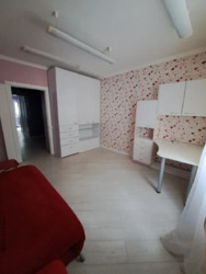 ������� �������� �������������, 43, ���, ���������� ���� 6