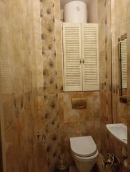 ������� �������� ������ ���������, 37/1, ���, ���������� ���� 7