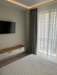 ������� �������� ������� �����������, 24, ���, ����������� ���� 4