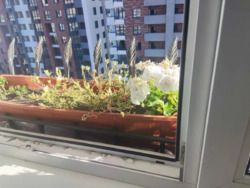 Здається квартира пр. Валерія Лобановського, 150Д, Київ, Голосіївський фото 13 Здається квартира пр. Валерія Лобановського, 150Д, Київ, Голосіївський фото 13