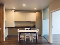 ������� �������� ������� ��������, 41�, ���, ����������, �. �������� ���� 8