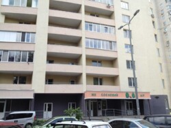 ������� �������� ��������, 5, ���, ���������� ���� 17