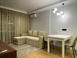 Здається квартира Київ, Голосіївський, Максимовича, 28Е фото 22 Здається квартира Київ, Голосіївський, Максимовича, 28Е фото 22