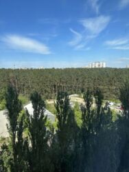 ������� �������� ����������, 137, ��� ���� 6