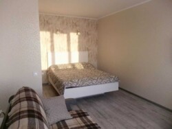 ������� �������� �������� ������������, 24, ���, �������������, �. ����������� ���� 1