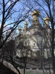 ������� �������� �������� ���������(�������������), 13�, ���, ������������� ���� 21