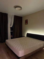 ������� �������� ������� ��������, 41�, ���, ����������, �. �������� ���� 4