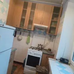 ������� �������� ���. ��� �������, 24, ���, ���������� ���� 2