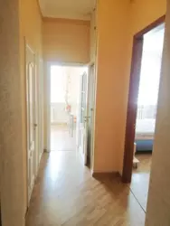 ������� �������� �볿 ����������, 22, ���, ����������� ���� 27