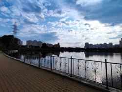 Здається квартира фото 20 Здається квартира фото 20