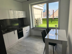 ������� �������� ��������������, 25, ���, ������������� ���� 6