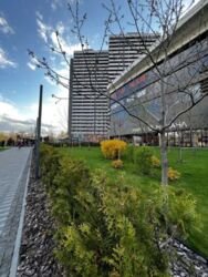 ������� �������� ������������, 100�, ���, �����������, �. ������������ ���� 11