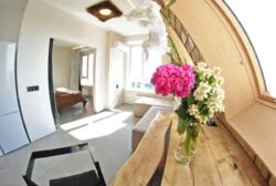 ������� �������� ���. ���������, 14�, ���, ������������ ���� 22