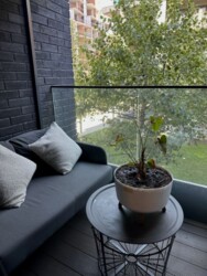 ������� �������� ���������-����������, 3, ���, ����������� ���� 4