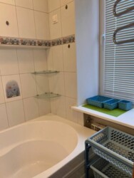 Здається квартира Богдана Гаврилишина, 15, Київ, Шевченківський фото 20 Здається квартира Богдана Гаврилишина, 15, Київ, Шевченківський фото 20