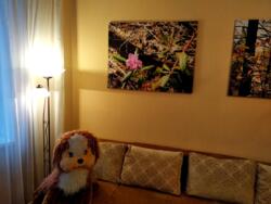 ������� �������� ���������� ������� ��������, 12�, ���, �����������, �. ������� ���� 11