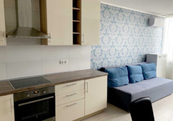 Здається квартира Київ, Дарницький, Соломії Крушельницької, 15-Б фото 20 Здається квартира Київ, Дарницький, Соломії Крушельницької, 15-Б фото 20