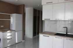 ������� �������� �������� ������������, 24, ���, ������������� ���� 5