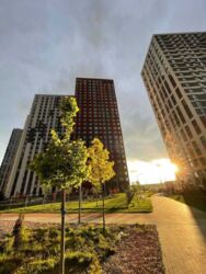 Здається квартира Київ, проспект Європейського Союзу фото 7 Здається квартира Київ, проспект Європейського Союзу фото 7