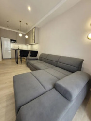 ������� �������� ������� �����������, 24, ���, �����������, �. ������������ ���� 4