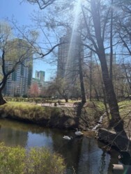 Здається квартира Вишгородська, 45, Київ, Подільський фото 16 Здається квартира Вишгородська, 45, Київ, Подільський фото 16