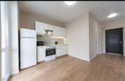 ������� �������� ����������� �����������, 1�, ���, ���������� ���� 10