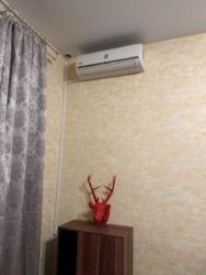 ������� �������� ��� ����������, 3, ���, ����������� ���� 8