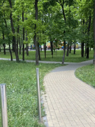 ������� �������� ������ ����������� ����� (��������), 22, ���, ������������ ���� 19