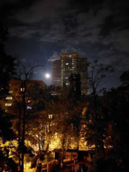 ������� �������� ������, 10, ���, ����������, �. ����� ������ ���� 17