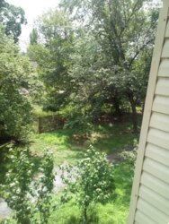 Здається квартира Київ, Бориса Мартоса фото 8 Здається квартира Київ, Бориса Мартоса фото 8