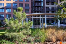 ������� �������� ���. ���������, 11, ���, �������������, �. ������ ���� 20