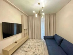 ������� �������� �����������, ���, ����������� ���� 4