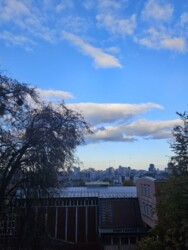 ������� �������� ���. ��������, 13, ���, �����'������� ���� 11