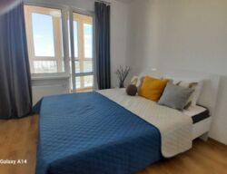 ������� �������� ������ ����, 20, ���, ���������� ���� 6