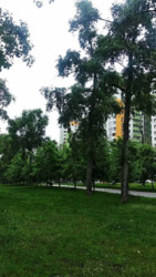 ������� �������� �-� ������������, 24, ���, ������������� ���� 9