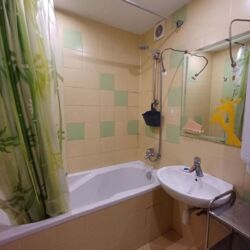 Здається квартира Київ, Подільський, Межигірська, 50 фото 9 Здається квартира Київ, Подільський, Межигірська, 50 фото 9