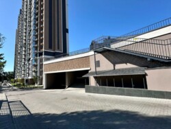 ������� �������� ���, ����������� ���� 19