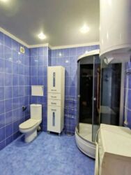 Здається квартира Велика Васильківська, 80, Київ фото 12 Здається квартира Велика Васильківська, 80, Київ фото 12