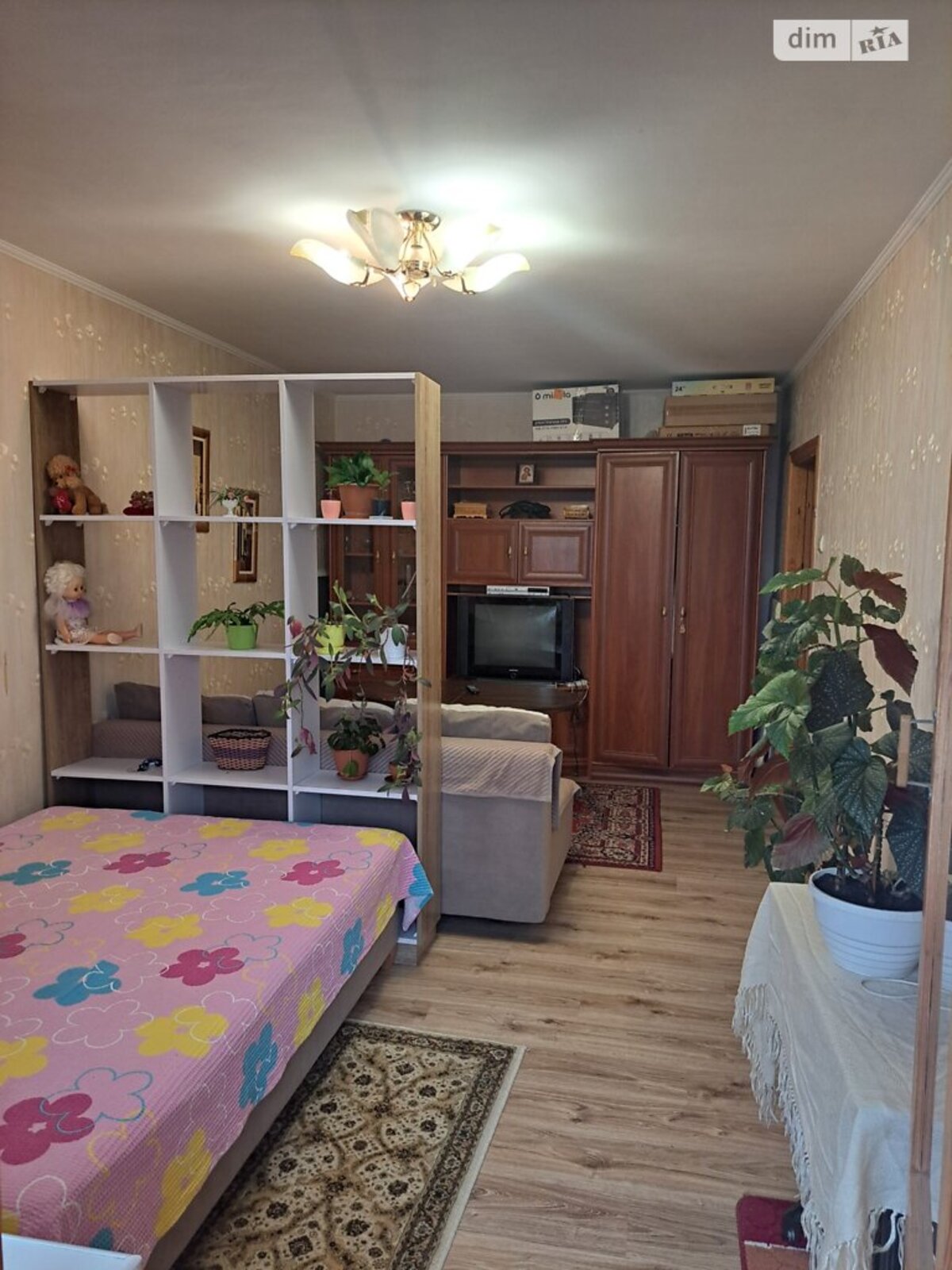 ������� �������� ³�������, ³�����, ����������, ����'����, �������� ����������� ���� 1