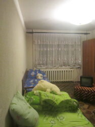 ������� �������� ³�������, ³�����, ����������, ������������� �����, ��� ����������-��������� ���� 4