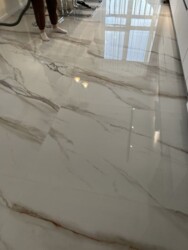 ������ ��������. �������. ���� 20