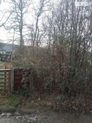 ������ 1 ������� ��������. �������. ���� 20